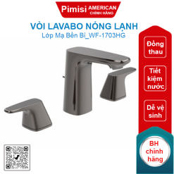 Vòi rửa lavabo American Standard WF-1703HG (WF1703HG) Sygnature nóng lạnh màu xám đen