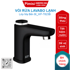 Vòi rửa lavabo American Standard WF-T823B (WFT823B) nước lạnh màu đen