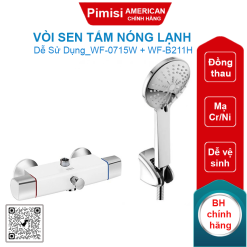 Vòi sen tắm American Standard WF-0715W + WF-B211H Neo Modern nóng lạnh