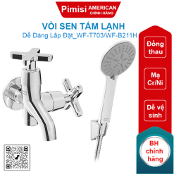 Vòi sen tắm American Standard WF-T703/WF-B211H lạnh