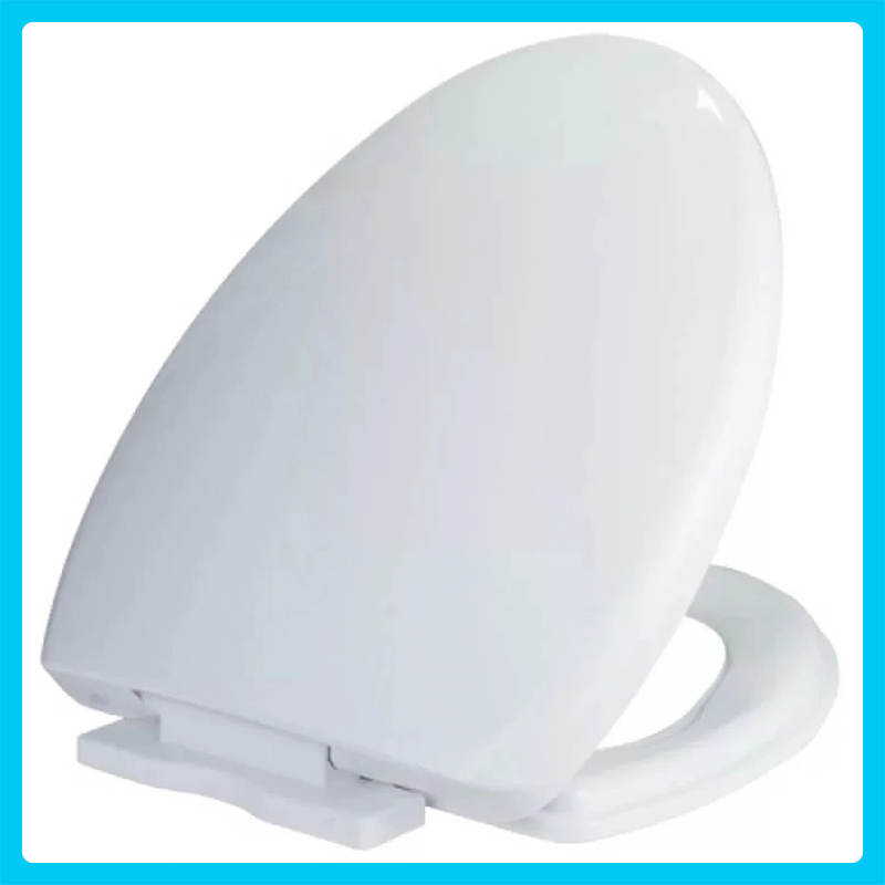 Nắp bồn cầu Viglacera