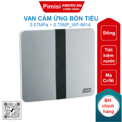 Van cảm ứng bồn tiểu American Standard WF-8614 ( WF8614) âm tường 220V