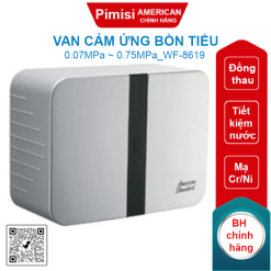 Van cảm ứng bồn tiểu American Standard WF-8619 ( WF-8619) âm tường 220V