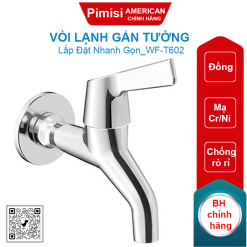 Vòi American Standard WF-T602 lạnh gắn tường Winston